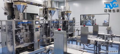 全自動粉體包裝機 前沿品牌與研發趨勢深度解析